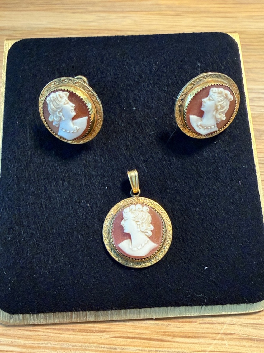 Vintage Classic Cameo Pendant and Screwback Earrings Set in 1/20 12k Gold Filled